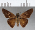  ( - CFCD00683)  @11 [ ] Copyright (2018) Christer Fahraeus Center For Collection-Based Research