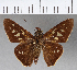  ( - CFCD00685)  @11 [ ] Copyright (2018) Christer Fahraeus Center For Collection-Based Research