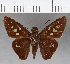  ( - CFCD00689)  @11 [ ] Copyright (2018) Christer Fahraeus Center For Collection-Based Research