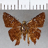  ( - CFCD00692)  @13 [ ] Copyright (2018) Christer Fahraeus Center For Collection-Based Research