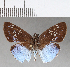  ( - CFCD00700)  @11 [ ] Copyright (2018) Christer Fahraeus Center For Collection-Based Research