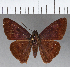  ( - CFCD00753)  @11 [ ] Copyright (2018) Christer Fahraeus Center For Collection-Based Research
