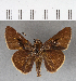  ( - CFCD00775)  @13 [ ] Copyright (2018) Christer Fahraeus Center For Collection-Based Research
