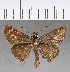  ( - CFCD00788)  @13 [ ] Copyright (2018) Christer Fahraeus Center For Collection-Based Research