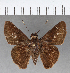  ( - CFCD00801)  @11 [ ] Copyright (2018) Christer Fahraeus Center For Collection-Based Research
