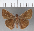  ( - CFCD00802)  @11 [ ] Copyright (2018) Christer Fahraeus Center For Collection-Based Research