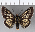  ( - CFCD00807)  @11 [ ] Copyright (2018) Christer Fahraeus Center For Collection-Based Research