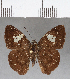  ( - CFCD00814)  @11 [ ] Copyright (2018) Christer Fahraeus Center For Collection-Based Research
