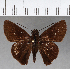  ( - CFCD00825)  @14 [ ] Copyright (2018) Christer Fahraeus Center For Collection-Based Research