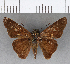  ( - CFCD00842)  @11 [ ] Copyright (2018) Christer Fahraeus Center For Collection-Based Research