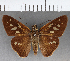  ( - CFCD00846)  @11 [ ] Copyright (2018) Christer Fahraeus Center For Collection-Based Research