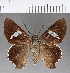  ( - CFCD00864)  @11 [ ] Copyright (2018) Christer Fahraeus Center For Collection-Based Research