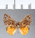  ( - CFCD00087)  @11 [ ] Copyright (2018) Christer Fahraeus Center For Collection-Based Research