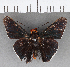  ( - CFCD00900)  @11 [ ] Copyright (2018) Christer Fahraeus Center For Collection-Based Research