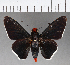  ( - CFCD00902)  @11 [ ] Copyright (2018) Christer Fahraeus Center For Collection-Based Research
