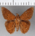  ( - CFCD00910)  @11 [ ] Copyright (2018) Christer Fahraeus Center For Collection-Based Research