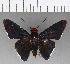  ( - CFCD00933)  @11 [ ] Copyright (2018) Christer Fahraeus Center For Collection-Based Research