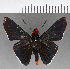  ( - CFCD00934)  @11 [ ] Copyright (2018) Christer Fahraeus Center For Collection-Based Research