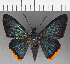  ( - CFCD00937)  @11 [ ] Copyright (2018) Christer Fahraeus Center For Collection-Based Research