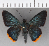  ( - CFCD00938)  @11 [ ] Copyright (2018) Christer Fahraeus Center For Collection-Based Research