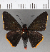  ( - CFCD00943)  @11 [ ] Copyright (2018) Christer Fahraeus Center For Collection-Based Research