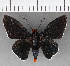  ( - CFCD00958)  @11 [ ] Copyright (2018) Christer Fahraeus Center For Collection-Based Research