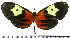  ( - JFDA0433)  @11 [ ] by-nc-sa (2024) Jean F. Le Crom Jean F. Le Crom