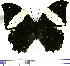  ( - JFDA0536)  @11 [ ] by-nc-sa (2024) Jean F. Le Crom Jean F. Le Crom