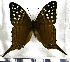  ( - JFDA0705)  @11 [ ] by-nc-sa (2024) Jean F. Le Crom Jean F. Le Crom