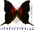  ( - JFDA0710)  @11 [ ] by-nc-sa (2024) Jean F. Le Crom Jean F. Le Crom