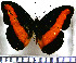  ( - JFDA0725)  @11 [ ] by-nc-sa (2024) Jean F. Le Crom Jean F. Le Crom