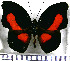  ( - JFDA0728)  @11 [ ] by-nc-sa (2024) Jean F. Le Crom Jean F. Le Crom