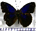  ( - JFDA0734)  @11 [ ] by-nc-sa (2024) Jean F. Le Crom Jean F. Le Crom