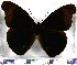  ( - JFDA0741)  @11 [ ] by-nc-sa (2024) Jean F. Le Crom Jean F. Le Crom