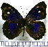  ( - JFDA0745)  @11 [ ] by-nc-sa (2024) Jean F. Le Crom Jean F. Le Crom