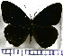  ( - JFDA0754)  @11 [ ] by-nc-sa (2024) Jean F. Le Crom Jean F. Le Crom