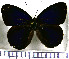  ( - JFDA0757)  @11 [ ] by-nc-sa (2024) Jean F. Le Crom Jean F. Le Crom