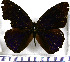  ( - JFDA0766)  @11 [ ] by-nc-sa (2024) Jean F. Le Crom Jean F. Le Crom