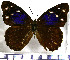  ( - JFDA0767)  @11 [ ] by-nc-sa (2024) Jean F. Le Crom Jean F. Le Crom