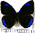  ( - JFDA0774)  @11 [ ] by-nc-sa (2024) Jean F. Le Crom Jean F. Le Crom