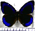  ( - JFDA0776)  @11 [ ] by-nc-sa (2024) Jean F. Le Crom Jean F. Le Crom