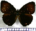  ( - JFDA0779)  @11 [ ] by-nc-sa (2024) Jean F. Le Crom Jean F. Le Crom