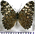  ( - JFDA0809)  @11 [ ] by-nc-sa (2024) Jean F. Le Crom Jean F. Le Crom