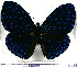  ( - JFDA0810)  @11 [ ] by-nc-sa (2024) Jean F. Le Crom Jean F. Le Crom