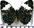  ( - JFDA0814)  @11 [ ] by-nc-sa (2024) Jean F. Le Crom Jean F. Le Crom