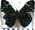  ( - JFDA0815)  @11 [ ] by-nc-sa (2024) Jean F. Le Crom Jean F. Le Crom
