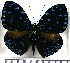  ( - JFDA0817)  @11 [ ] by-nc-sa (2024) Jean F. Le Crom Jean F. Le Crom
