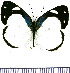  ( - JFDA0854)  @11 [ ] by-nc-sa (2024) Jean F. Le Crom Jean F. Le Crom