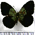  ( - JFDA0865)  @11 [ ] by-nc-sa (2024) Jean F. Le Crom Jean F. Le Crom