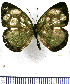  ( - JFDA0875)  @11 [ ] by-nc-sa (2024) Jean F. Le Crom Jean F. Le Crom